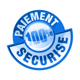 paiement securise logo